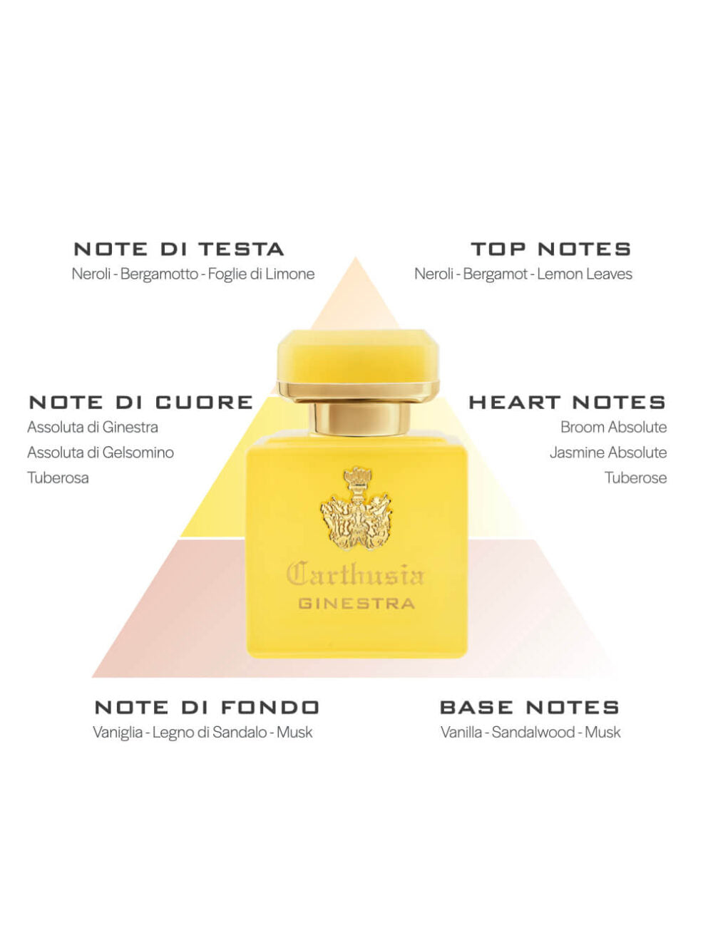 Carthusia Intenso di Ginestra