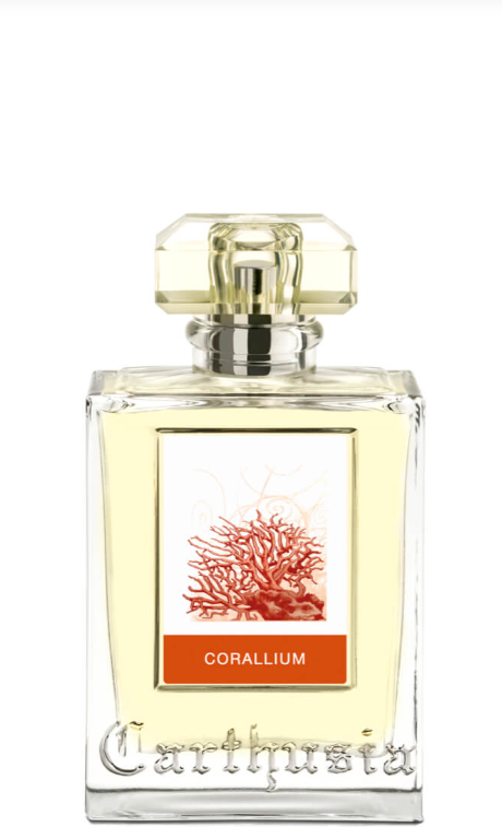 Carthusia - Corallium