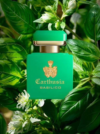 Carthusia Intenso di Basilico 50ml