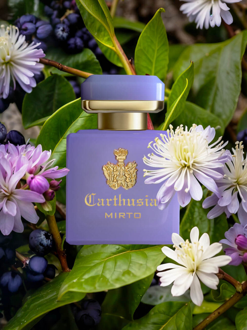 Carthusia Intenso di Mirto 50ml
