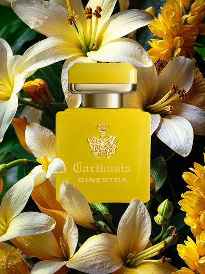 Carthusia Intenso di Ginestra