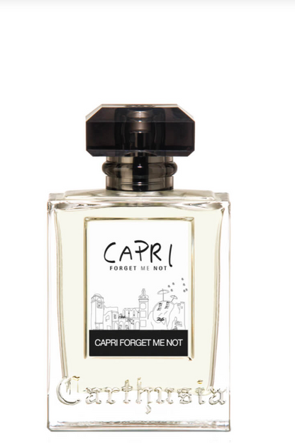 Carthusia - Capri Forget Me Not